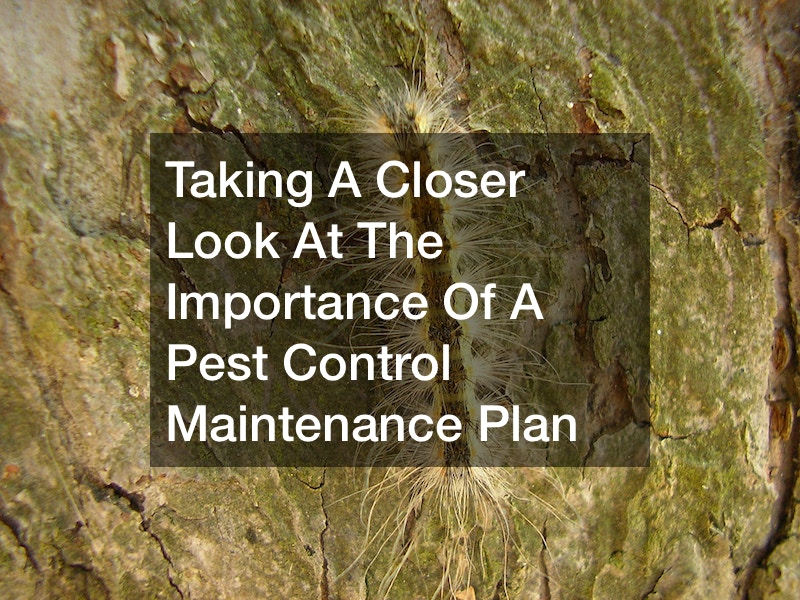 Taking A Closer Look At The Importance Of A Pest Control Maintenance Plan