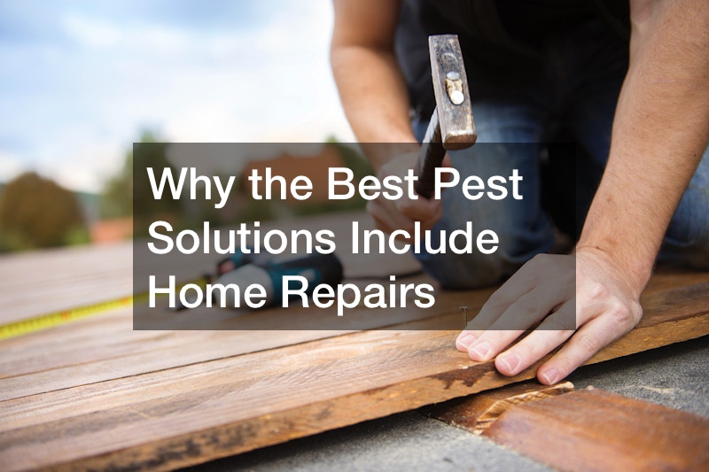 Why the Best Pest Solutions Include Home Repairs