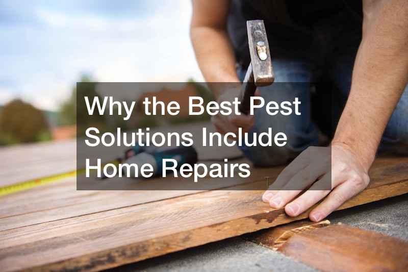 best pest solutions