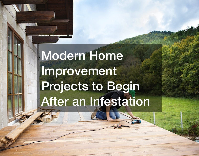 Modern Home Improvement Projects to Begin After an Infestation