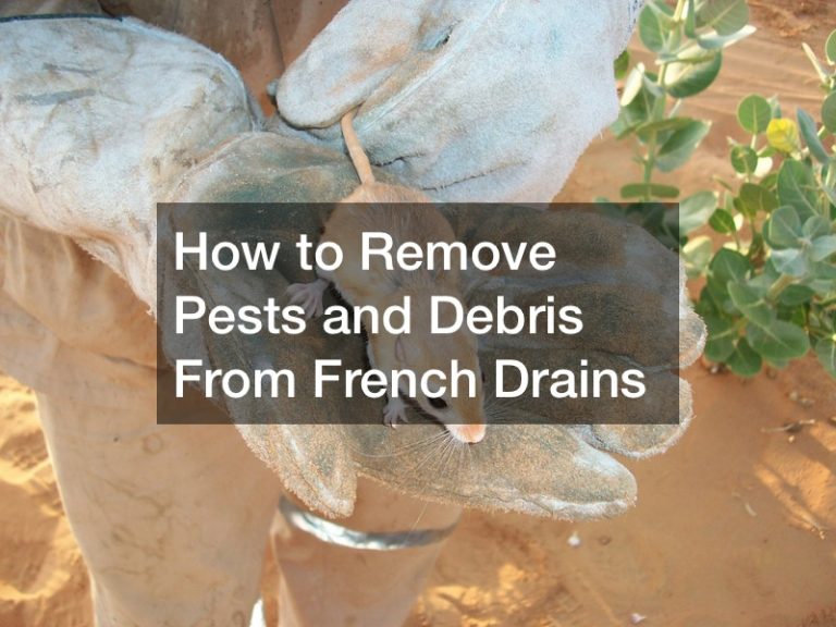 French Rabbit Pest How to Remove Pests and Debris From French Drains - Pest and Animal ...