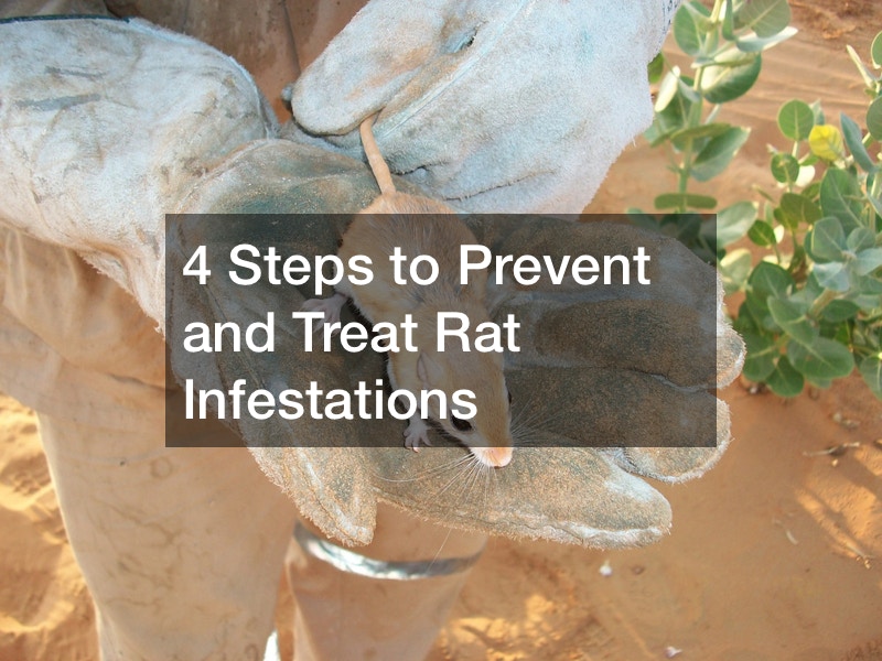 4 Steps to Prevent and Treat Rat Infestations