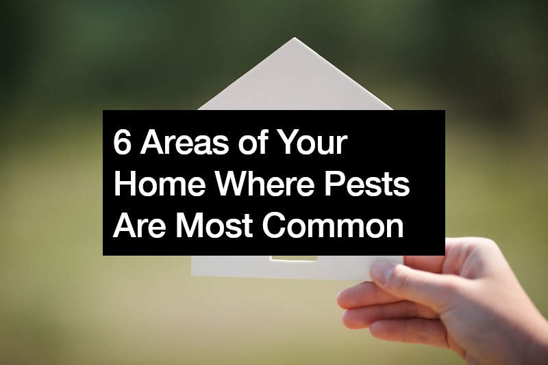 6 Areas of Your Home Where Pests Are Most Common