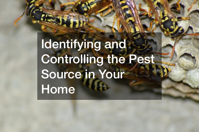 Identifying and Controlling the Pest Source in Your Home