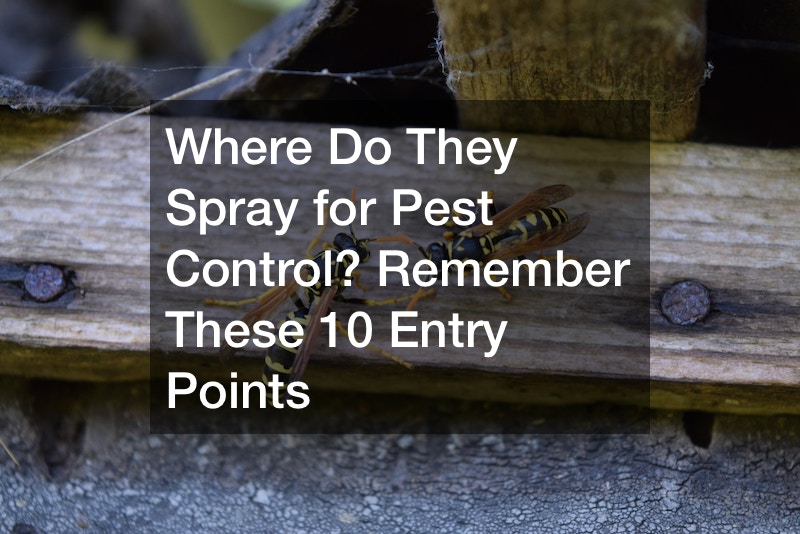Where Do They Spray for Pest Control? Remember These 10 Entry Points