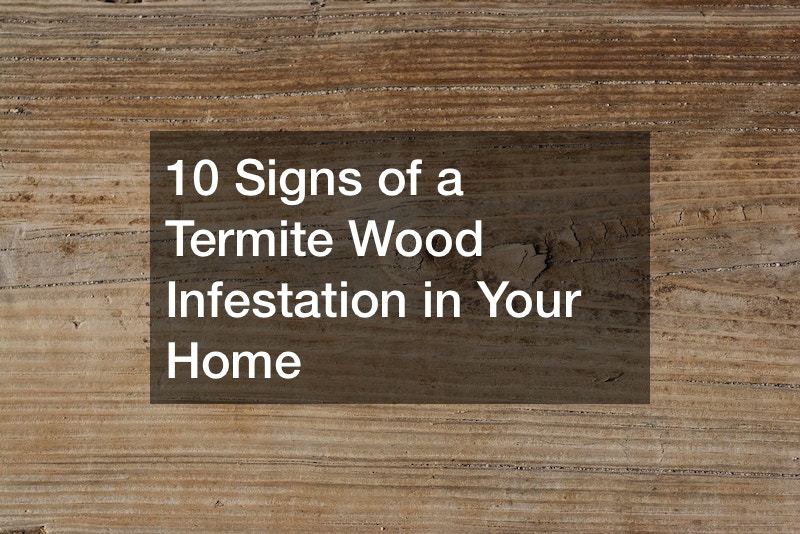 10 Signs of a Termite Wood Infestation in Your Home