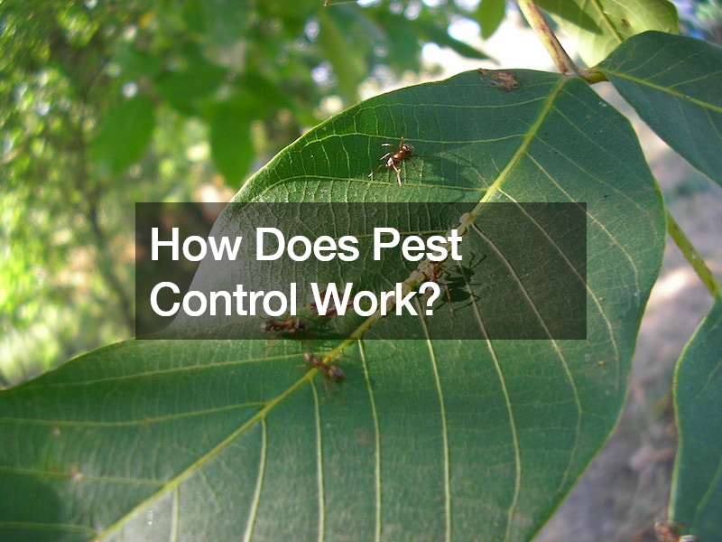 How Does Pest Control Work?
