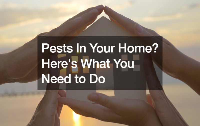 Pests In Your Home? Heres What You Need to Do