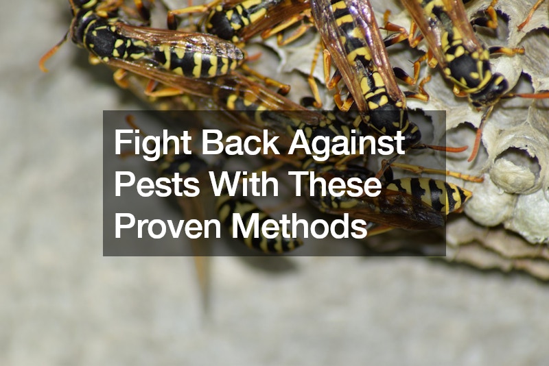 Fight Back Against Pests With These Proven Methods