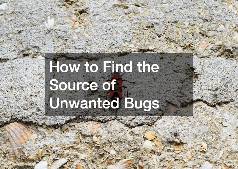 How to Find the Source of Unwanted Bugs