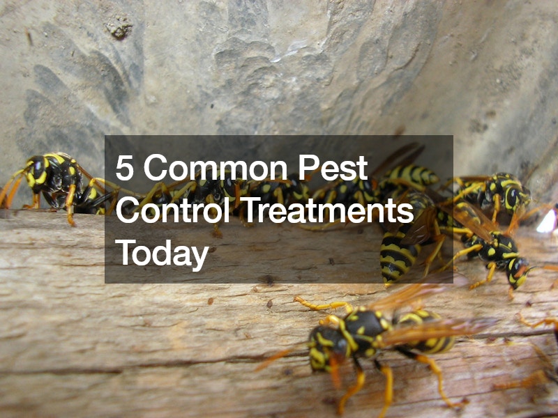 5 Common Pest Control Treatments Today