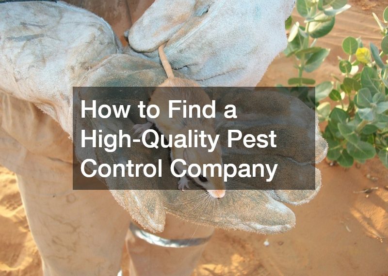 How to Find a High-Quality Pest Control Company