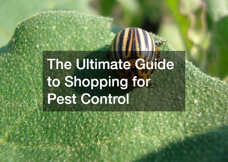 The Ultimate Guide to Shopping for Pest Control