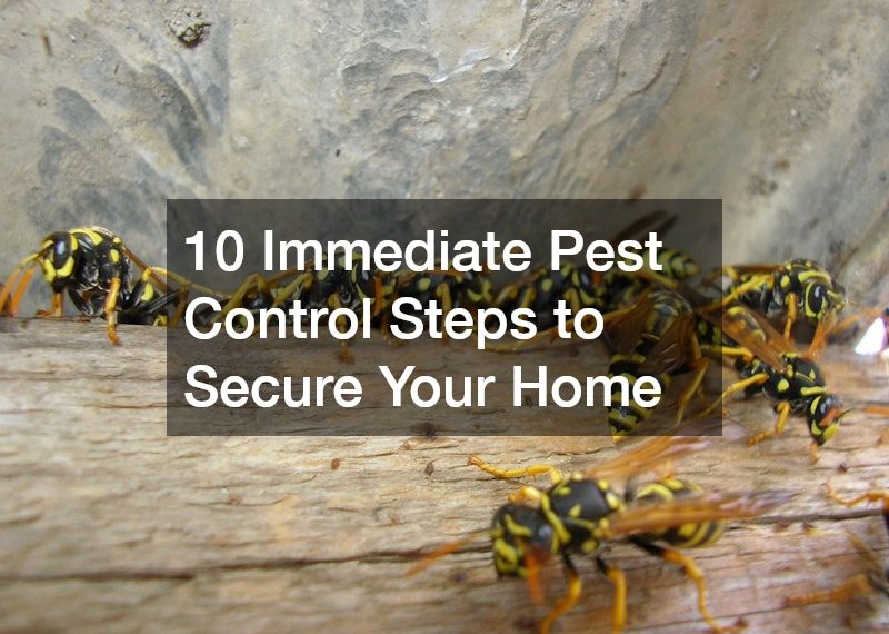 10 Immediate Pest Control Steps to Secure Your Home