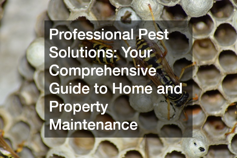 Professional Pest Solutions  Your Comprehensive Guide to Home and Property Maintenance