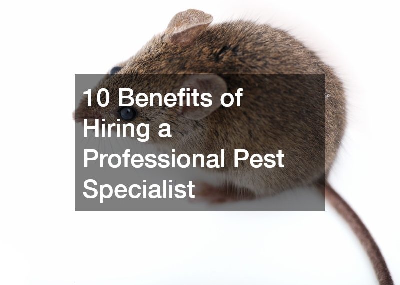 10 Benefits of Hiring a Professional Pest Specialist