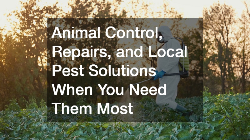 Animal Control, Repairs, and Local Pest Solutions When You Need Them Most