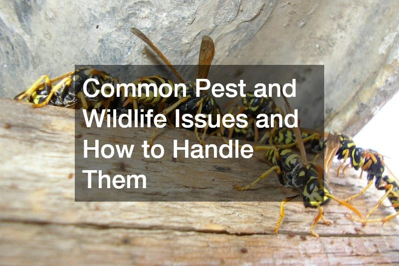 Common Pest and Wildlife Issues and How to Handle Them