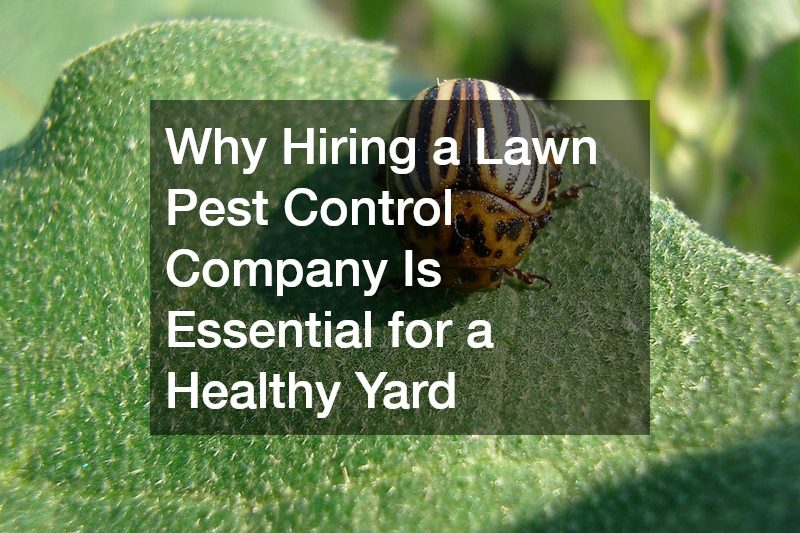 Why Hiring a Lawn Pest Control Company Is Essential for a Healthy Yard