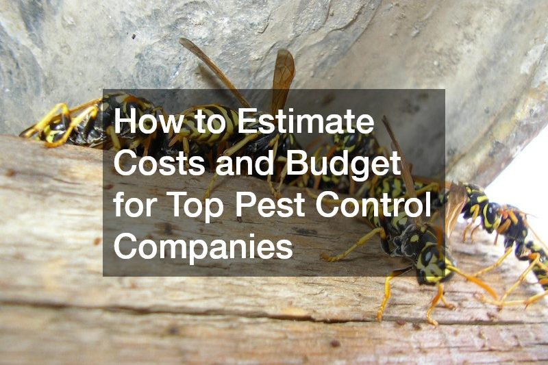 How to Estimate Costs and Budget for Top Pest Control Companies
