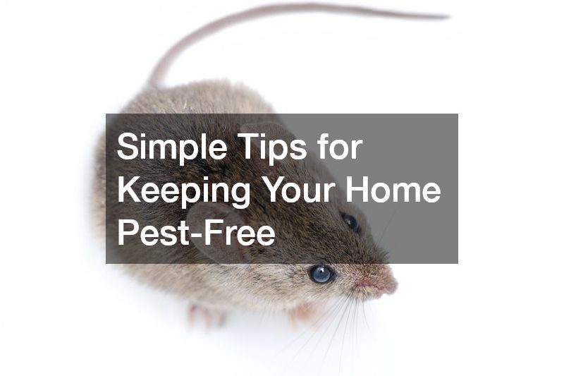 Simple Tips for Keeping Your Home Pest-Free